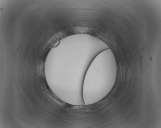 X0000084520526200703091605