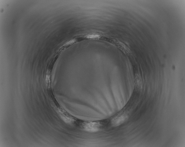 X0000084520527200703091605