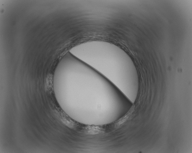 X0000084520528200703091605