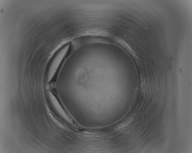 X0000084520530200703091604