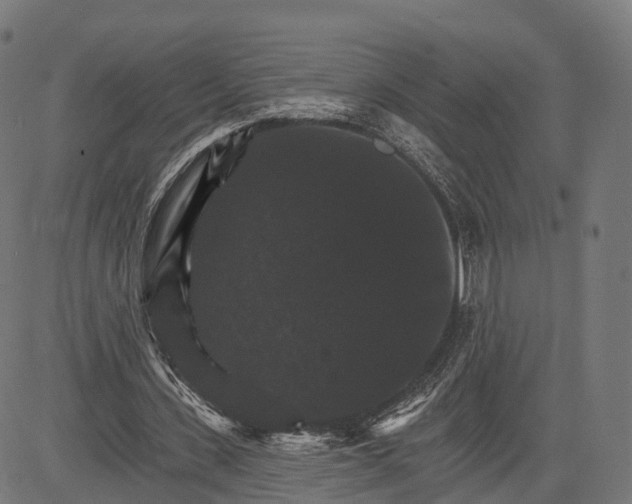 X0000084520531200703091604