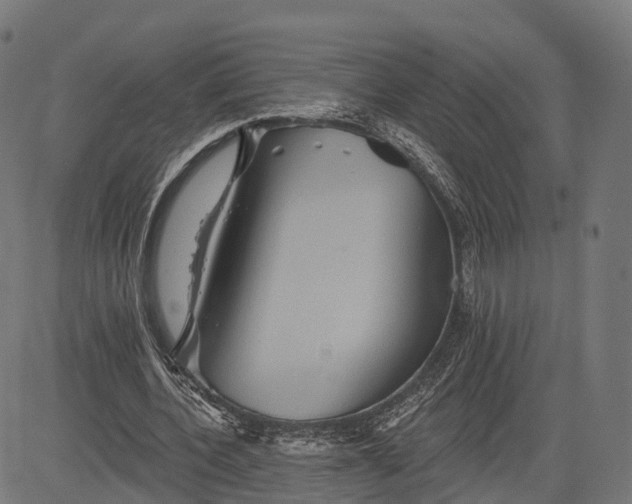 X0000084520532200703091604