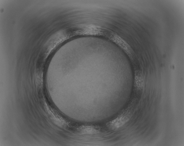 X0000084520534200703091605