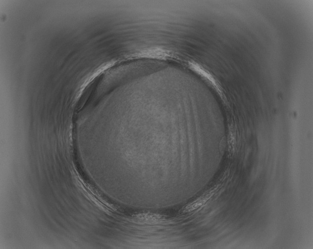 X0000084520535200703091605