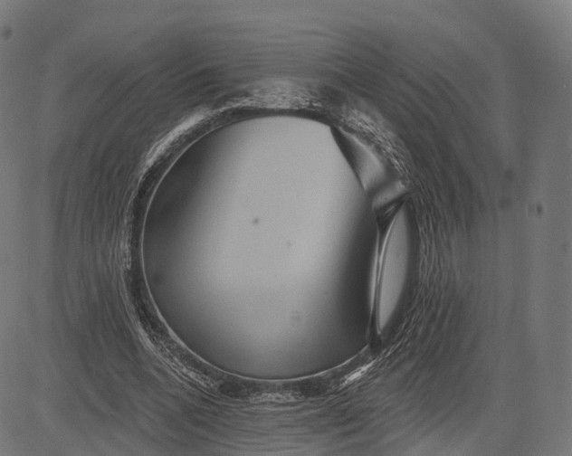 X0000084520536200703091605