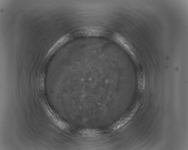 X0000084520537200703091605