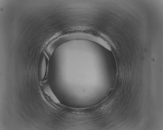 X0000084520538200703091605