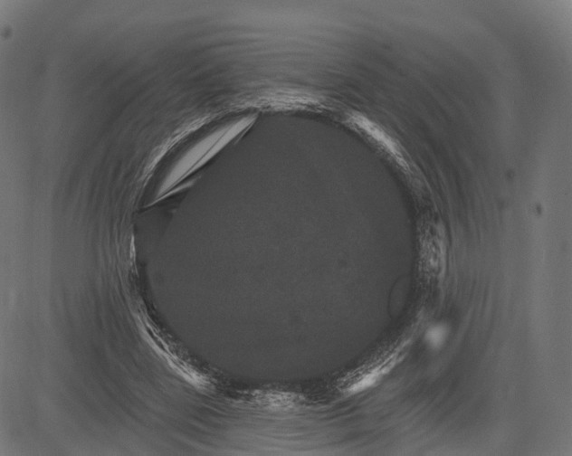 X0000084520539200703091605