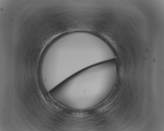 X0000084520540200703091605