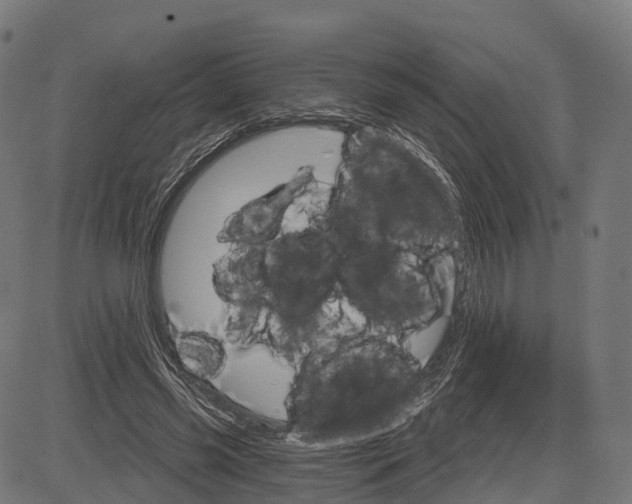 X0000084520541200703091605