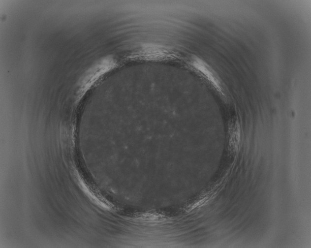 X0000084520542200703091605