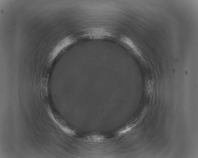 X0000084520543200703091605