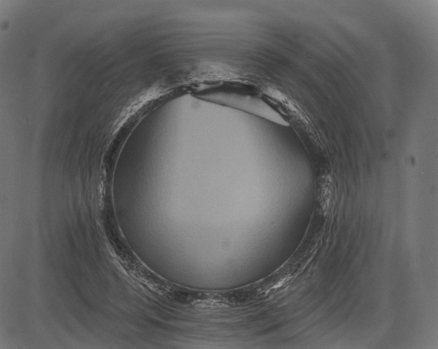 X0000084520544200703091605