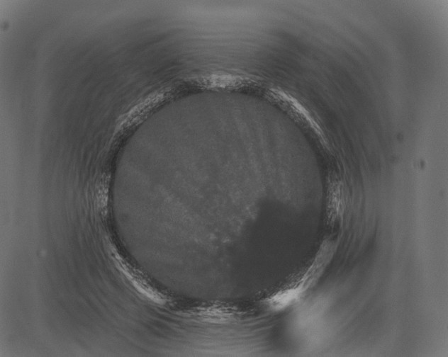 X0000084520545200703091605