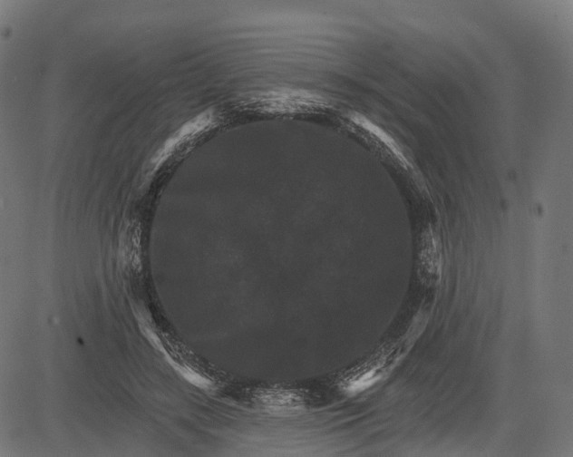 X0000084520547200703091605