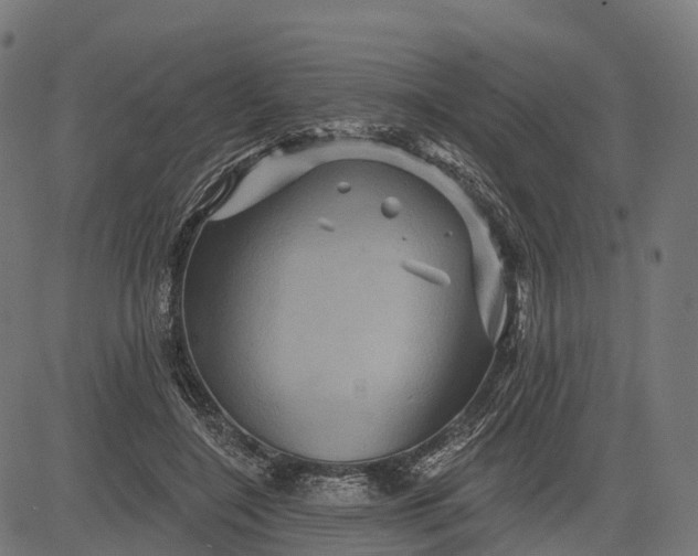 X0000084520548200703091605