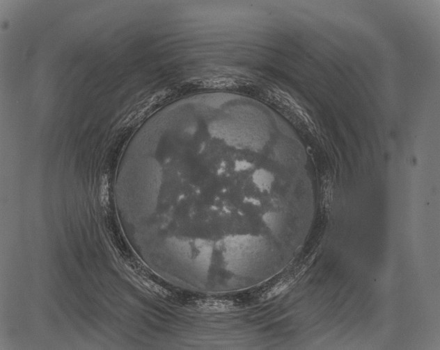 X0000084520549200703091605