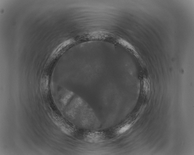 X0000084520550200703091605