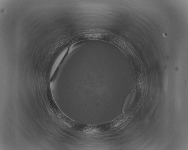 X0000084520551200703091605