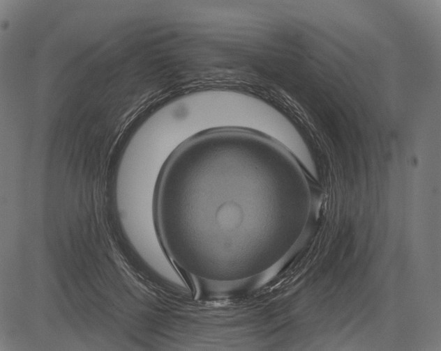 X0000084520552200703091605