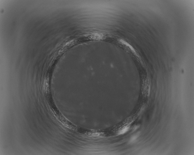 X0000084520553200703091605