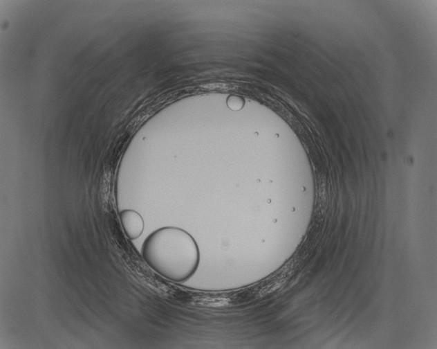 X0000084520554200703091605