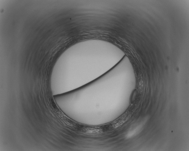 X0000084520555200703091605