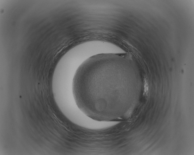 X0000084520556200703091605