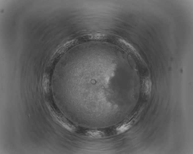 X0000084520557200703091605