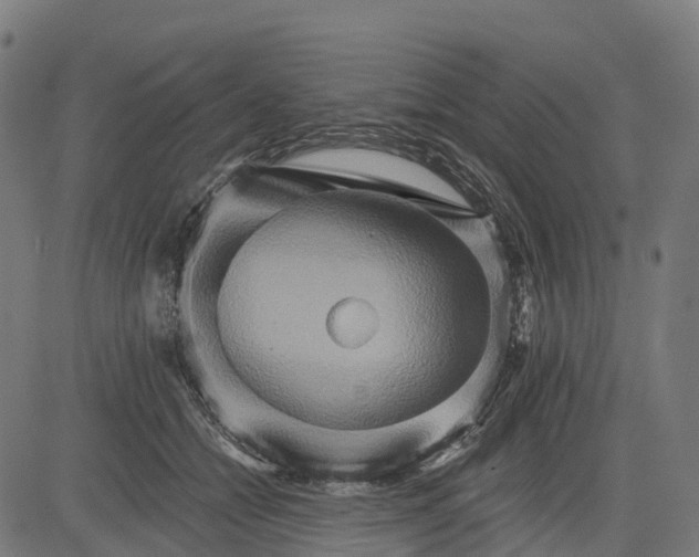 X0000084520558200703091605