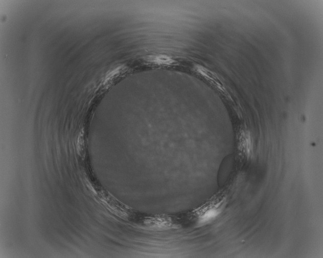 X0000084520559200703091605