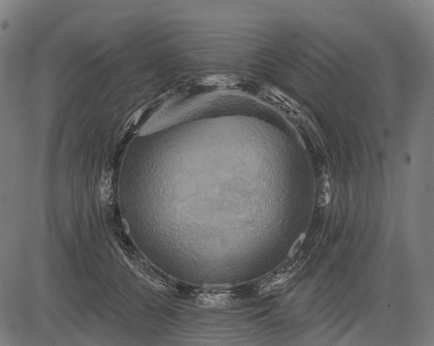 X0000084520560200703091605