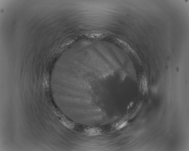 X0000084520561200703091605