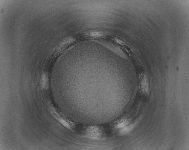 X0000084520562200703091605