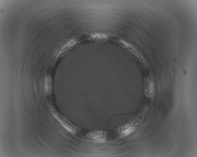 X0000084520563200703091605