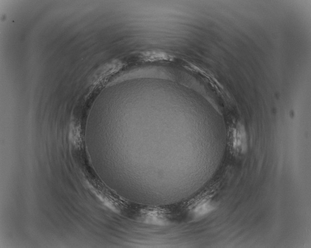 X0000084520564200703091605