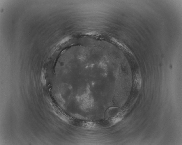 X0000084520565200703091605