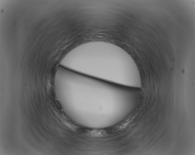 X0000084520566200703091605