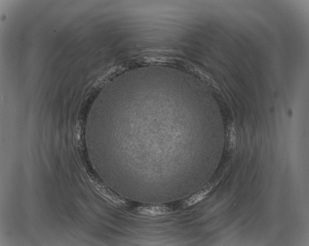 X0000084520567200703091605