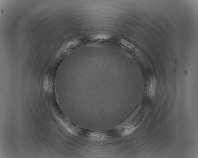 X0000084520568200703091605