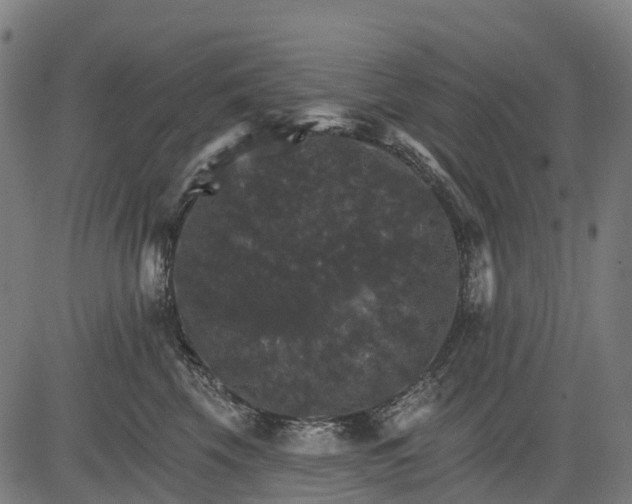 X0000084520569200703091605