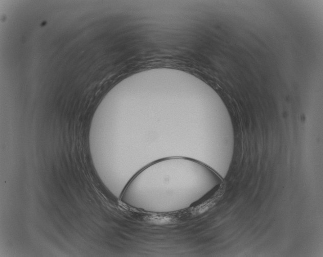 X0000084520570200703091605