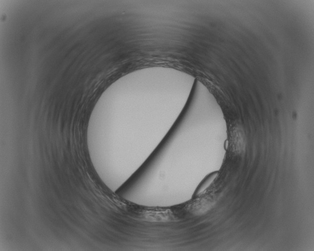 X0000084520571200703091605