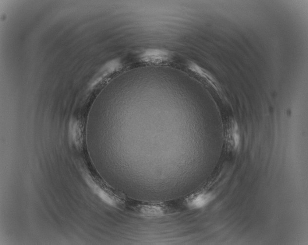 X0000084520572200703091605