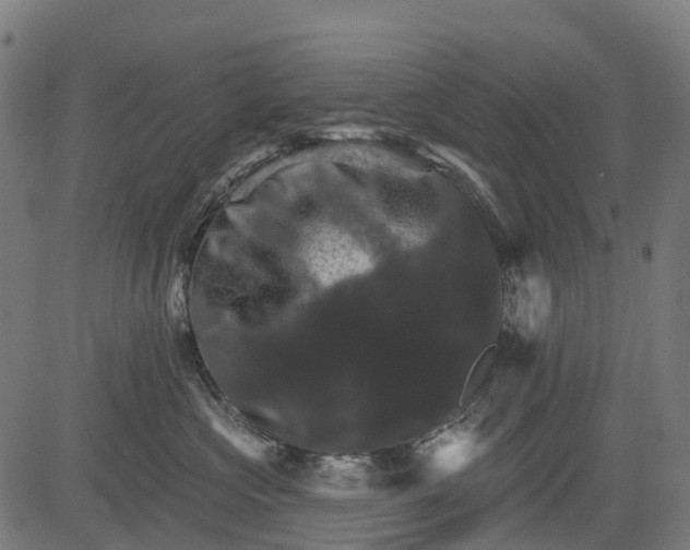 X0000084520573200703091605