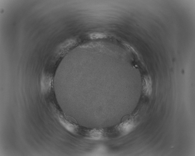 X0000084520574200703091605