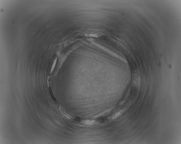 X0000084520575200703091605