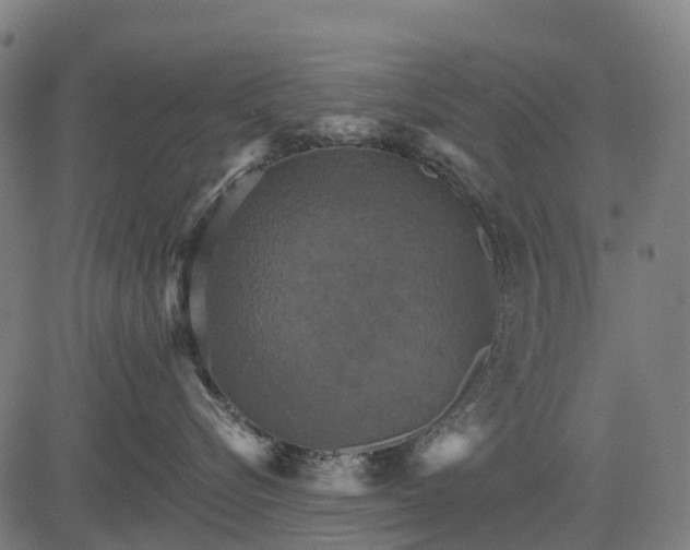 X0000084520576200703091605