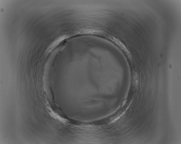 X0000084520577200703091604