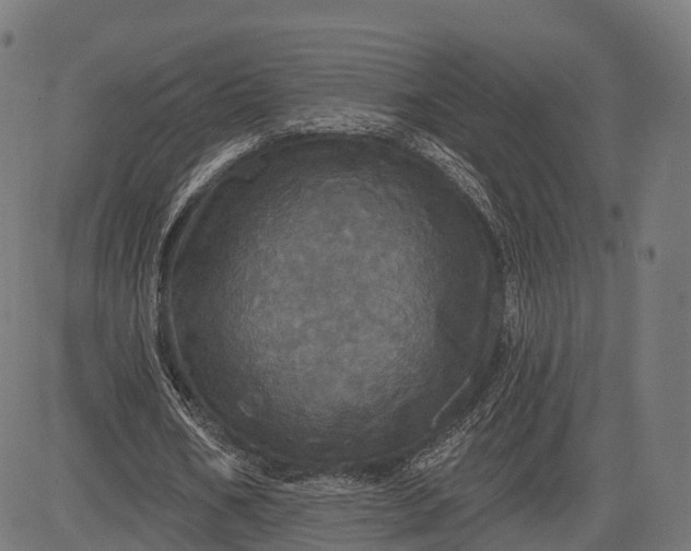 X0000084520578200703091604